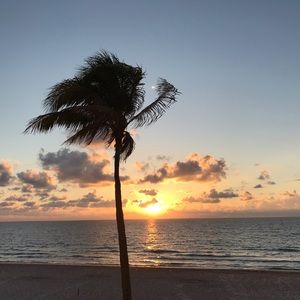 Meet your Posher, Sonja